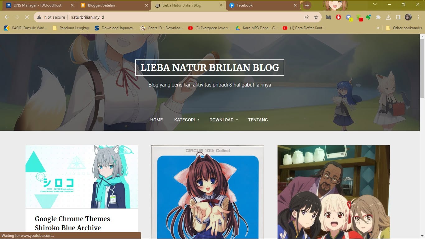 my blogger old